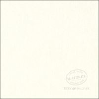 100% cotton fabric uni Cream (blanc casse) 145g 102001