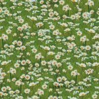 100% Cotton decorative fabric Daisies on meadow digital print 221456