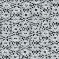 Fabric lace white TS06540114